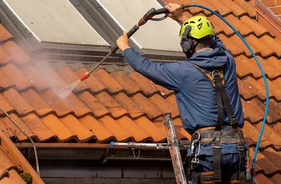 Démoussage et hydrofuge de toiture à Arrodets